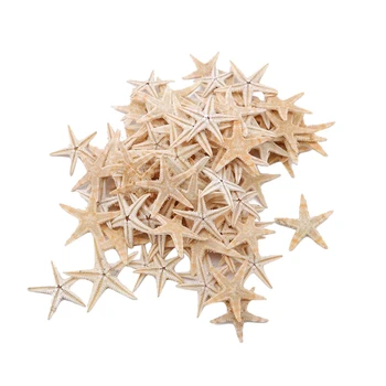 100vnt Natūrali jūrų žvaigždė Jūros kriauklė Paplūdimio amatas Natūralios jūros žvaigždės 