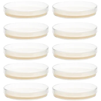 10vnt Iš anksto supilstytos agaro lėkštės Petri lėkštelės su agaro kultūros plokštele Agaro lėkštės Laboratoriniai mokslo mokyklos eksperimentiniai reikmenys