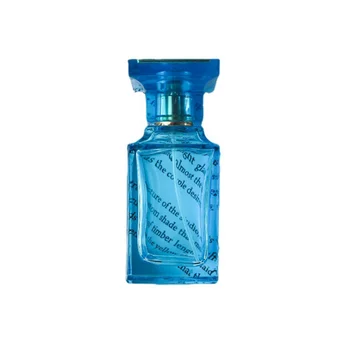 10vnt/lot 55ml išskirtinis kvepalų dozavimo purškimo buteliukas bajoneto struktūra mažas purškimas didelio purškimo nešiojamas kosmetikos buteliukas