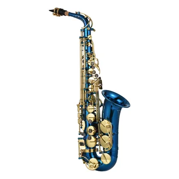 Brass Graved Eb E-Flat Alto Saxophone Sax Abalone Shell Buttons Wind Instrument with Case Gloves Cleaning Cloth Belt Brush