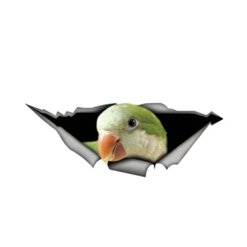 Creative Animal Funny Parakeet Decal 3D Pet Car Lipdukas Automobilių aksesuarai Vinilo lipduko dangtelio įbrėžimai Neperšlampamas PVC 13*5cm