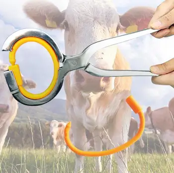 Galvijų nosis Traukos žiedas Plastikinis arklio asilas Traukos įrankis Galvijų nosies spaustukas Ūkio įranga Karvių ūkis Galvijų atsargos