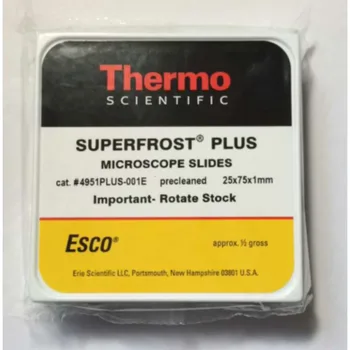 Thermo Superfrost Plus
