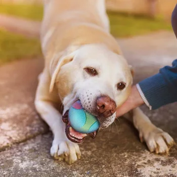 Šunų žaislai Įkandimui atsparus bouncy Ball Žaislas mažiems, vidutiniams dideliems šunims Dantų valymas Kietas kamuolinis šunų kramtomasis žaislas Naminių gyvūnėlių dresūros produktai