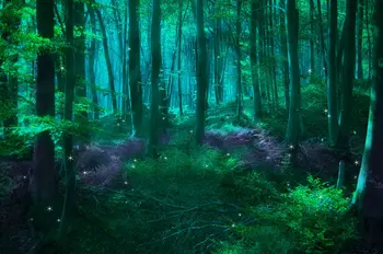 žalioji magija Užburtas miškas Džiunglės nuotraukų fonas Aukšta kokybė Kompiuterio spausdinimo sienos fonas